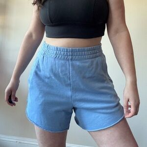 Aerie Blue Casual Dolphin Shorts